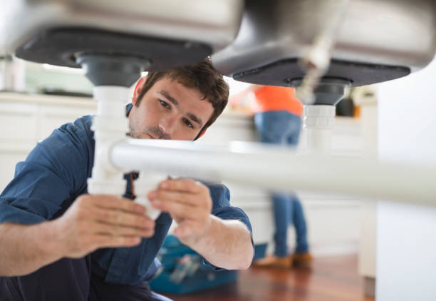 Best Drain Cleaning Services  in The Plains, OH