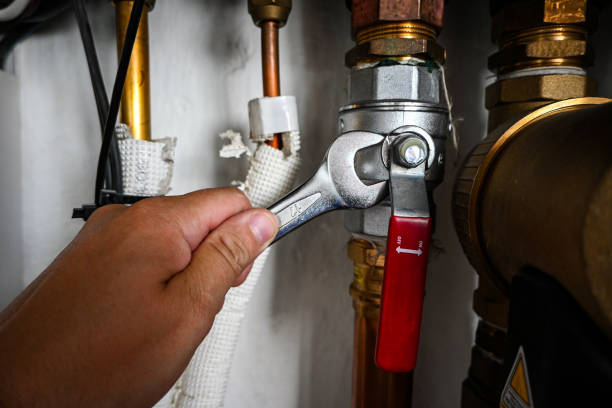 Best Residential Plumbing Services  in The Plains, OH